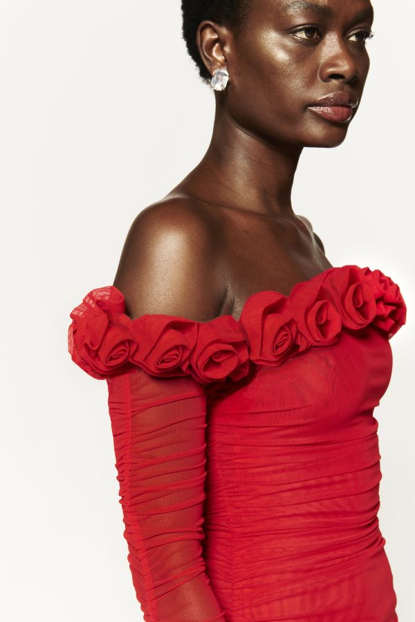 Rose Eteree Bodysuit