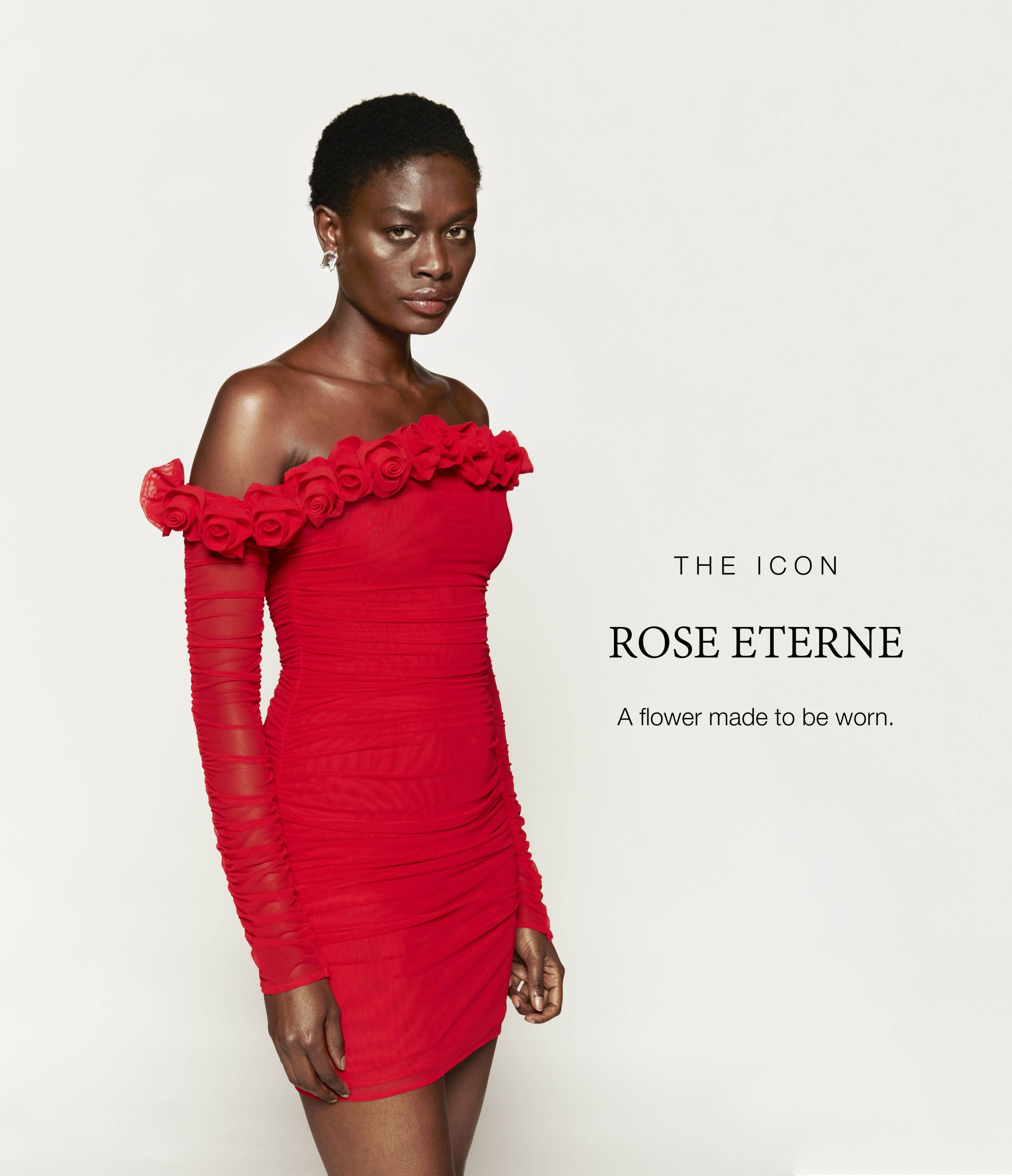 ROSE ETERNE2